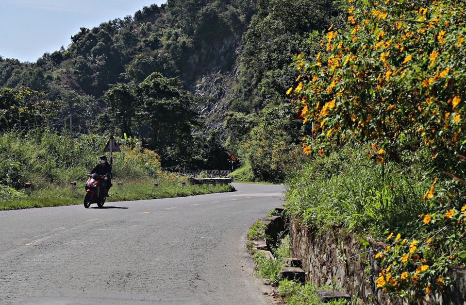 Cung đèo Đà Lạt
